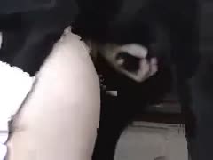 A gorgeous American woman likes to have sex with her brother's dog.